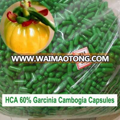 best quality slimming capsule pills 60% Garcinia Cambogia Extract