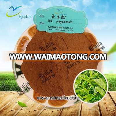 Green Tea Extract Tea Polyphenols for Weight Loss